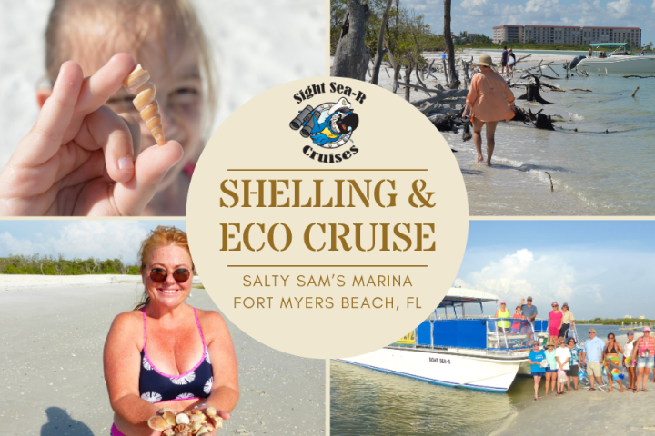 Fort Myers Shelling Tour